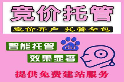 案例分享：SEM公司助力企业实现高效推广